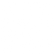 Sea Urchin Harvest